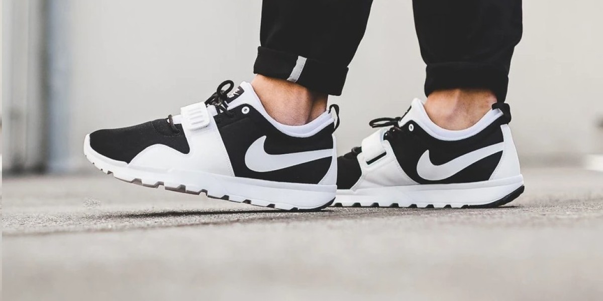 Unleash your stride with the Nike Trainerendor SB